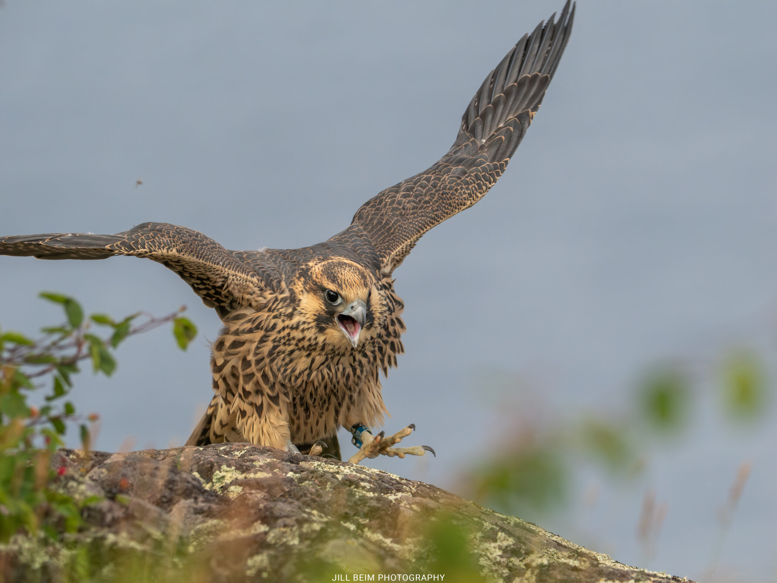 Balancing and walking along ledges also takes practice.